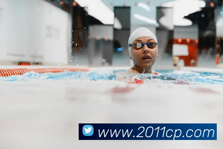 中彩网发展历程